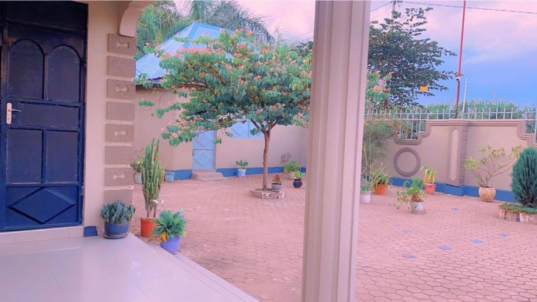 Evelina House Hostel Boma la Ngombe Exterior photo